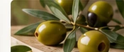 Aceitunas M78 Natural